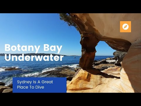 Botany Bay Underwater