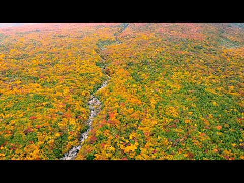 【宮城県観光映像】栗駒山 紅葉