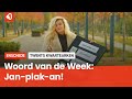 Het Twentse woord van de week: Jan-plak-an!