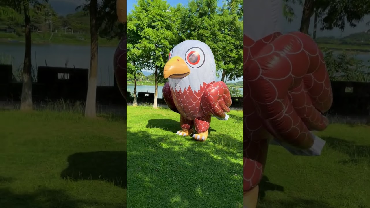Video Placeholder