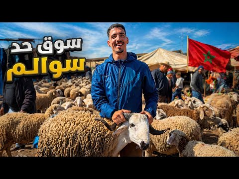 مباشرة  اليوم من سوق حد السوالم 🇲🇦مع أثمنة الحولي عيد الأضحى 🐏 بتاريخ 26/04/2026 