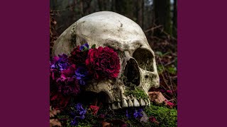 Memento Mori (Solve et Coagula)