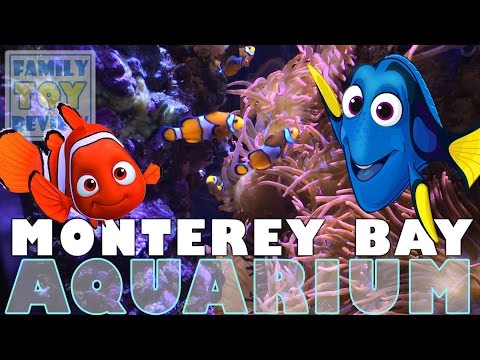 download lagu mp3 mp4 Kid Friendly Restaurants Near Monterey Bay Aquarium, download lagu Kid Friendly Restaurants Near Monterey Bay Aquarium gratis, unduh video klip Kid Friendly Restaurants Near Monterey Bay Aquarium