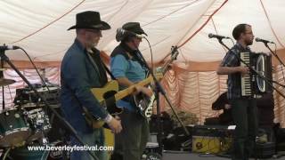 The Ale Marys @ Beverley Folk Festival 2016