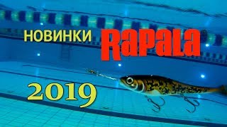 Воблер x-rap jointed shad rap