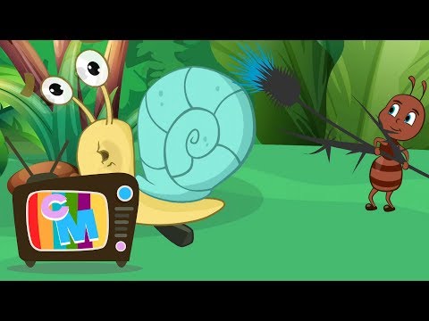 Colaj despre lumea inconjuratoare - Clopotelul Magic - cantece pentru copii