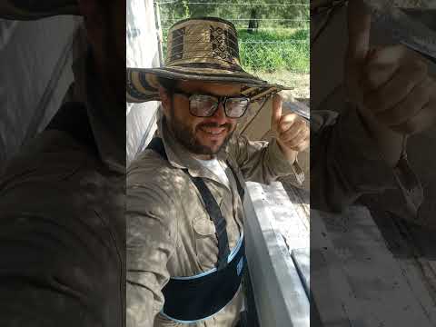 Deja un poco de luz la partir - zamba - de Victor Heredia - por Andres Simón Lipisky 