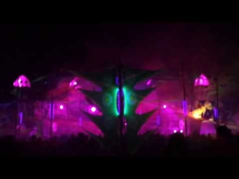 Psychedelic Circus 2013 HD