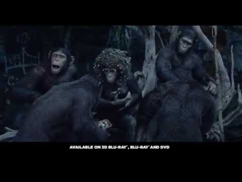 Dawn of The Planet Of The Apes - Available on 2D / 3D Blu-ray & DVD - 26th November 2014