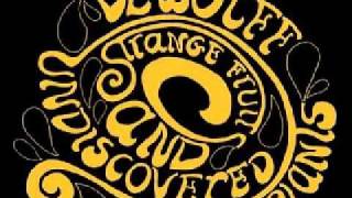 Dewolff-Don't You Go Up The Sky