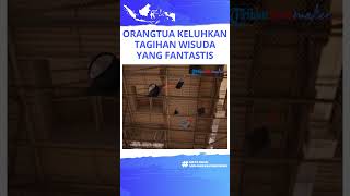 Viral Orangtua Murid Keluhkan Tagihan Wisuda yang Fantastis, Sebut Sudah Jadi Budaya Bertahun-tahun