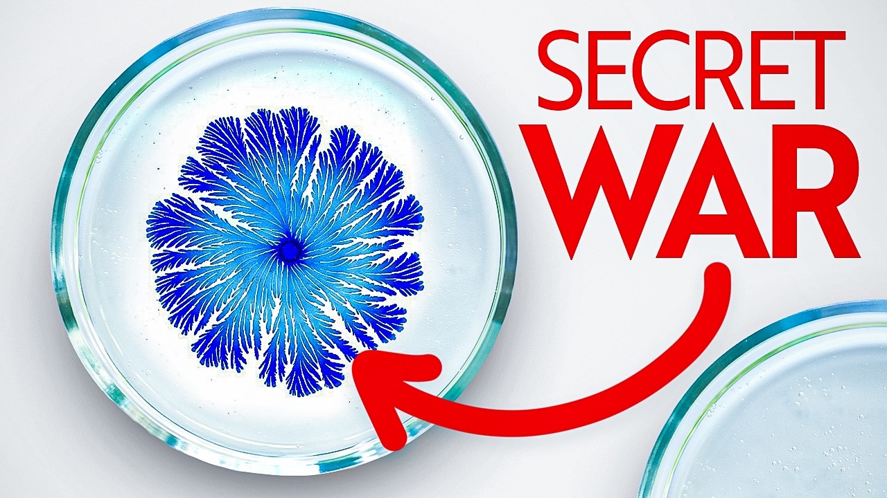 The terrifying reason why we don't see any aliens