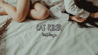 Little Dragon - Cat Rider (Lyrics)