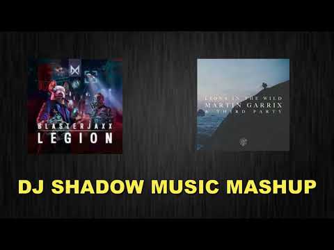 Legion & Lions in the Wild (DJ Shadow Music Mashup) I Martin Garrix , Blasterjaxx , John Martin