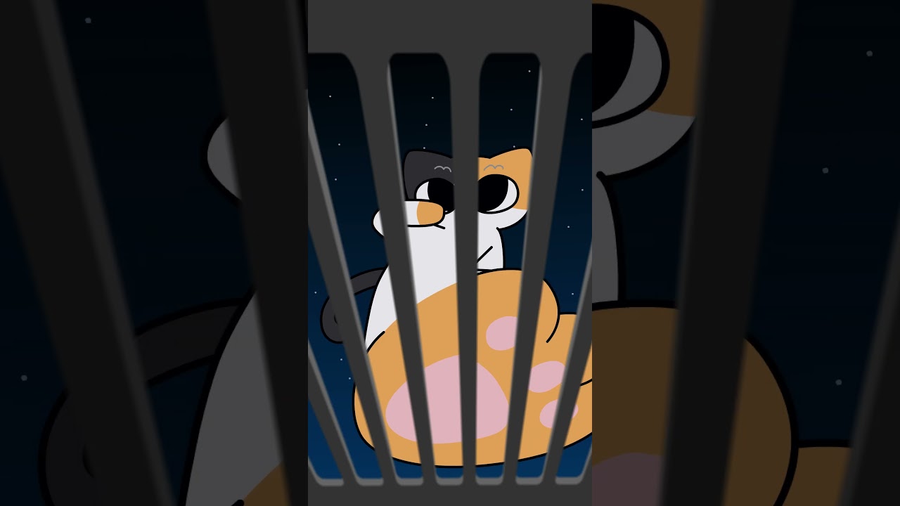 Noisy Neighbor 4🌠