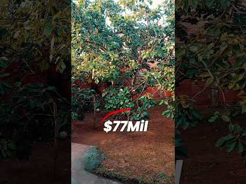 barrio Bolívar casa en venta Táchira