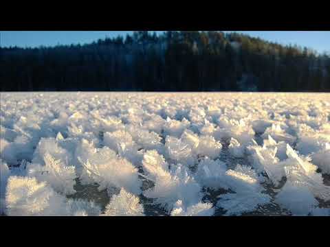 Oradea - X Marks The Spot (Original Mix) (2005)