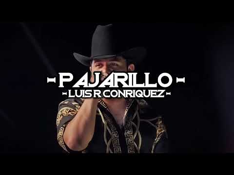 Luis R Conriquez - Pajarillo ( Maquillaje A Granel [ Lyrics Video ] 🔥