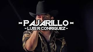 Luis R Conriquez - Pajarillo ( Maquillaje A Granel [ Lyrics Video ] 🔥