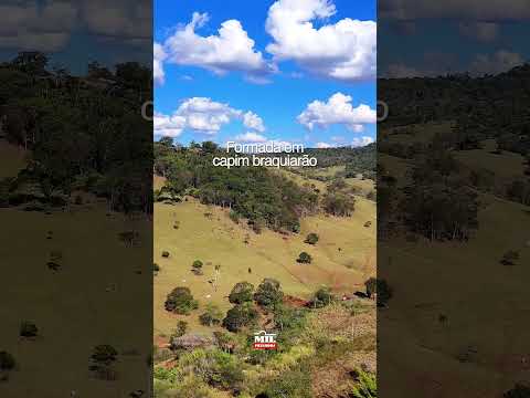 Fazenda à Venda em Inhumas/GO ( 57 alqueires ) #fazendaavenda #agro #pecuaria