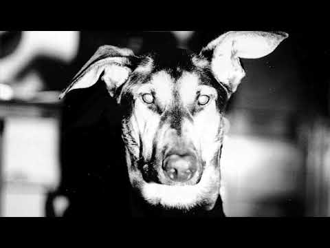 Doormouse - For Mama’s (Official)