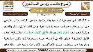 صورة [36] المجلس 36 - الباب التاسع والعاشر: التفكر، والمسارعة إلى الخيرات - الشيخ عبد العزيز بن باز