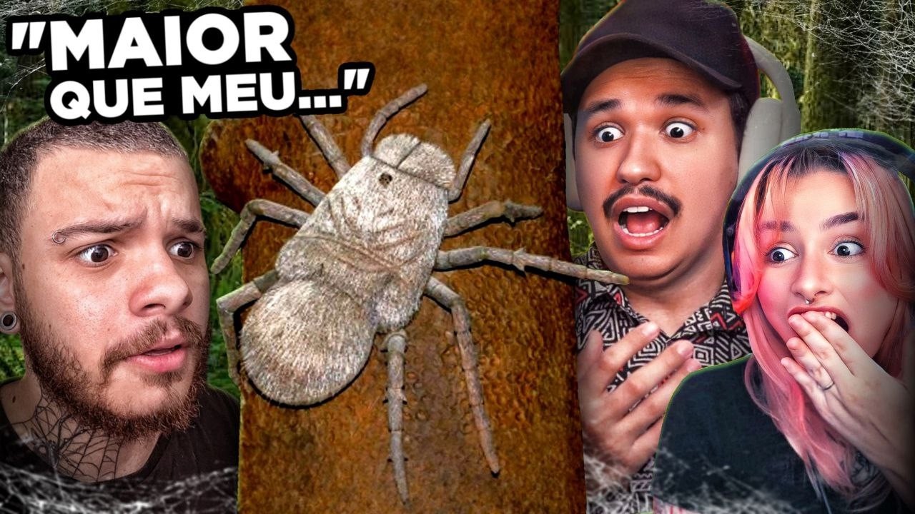 OS 6 ANIMAIS PRÉ-HISTÓRICOS MAIS ASSUSTADORES!