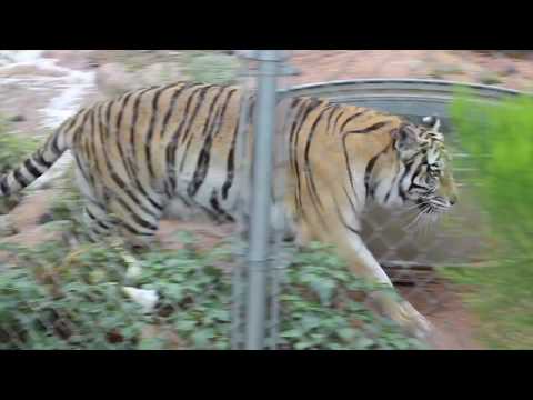 FLOOD DAMAGE RELIEF FUND