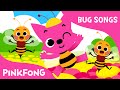 Bugs Bugs Bugs Bug Songs PINKFONG Songs