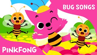 Bugs, Bugs, Bugs | Bug Songs | PINKFONG Songs