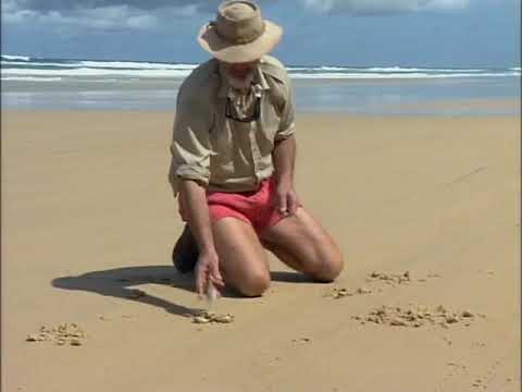 Malcolm Douglas - Around Australia (Part 1)  1993