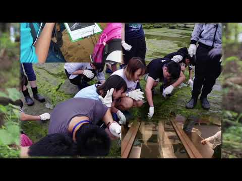 體驗旗美(學校課程特色介紹)