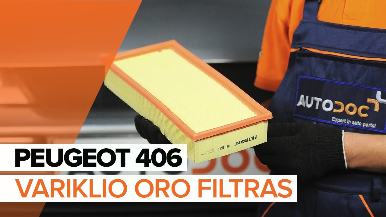 Kaip pakeisti Peugeot 406 sedan oro filtro - keitimo instrukcija