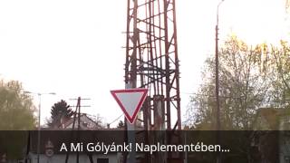 preview picture of video '15.04.13. Bácsalmás: A Mi Gólyánk! - Megérkezett!'
