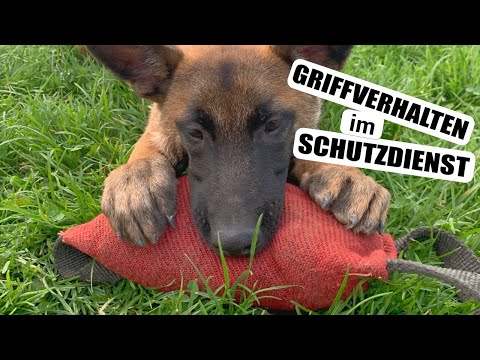 Aufbau Griffverhalten im Schutzdienst