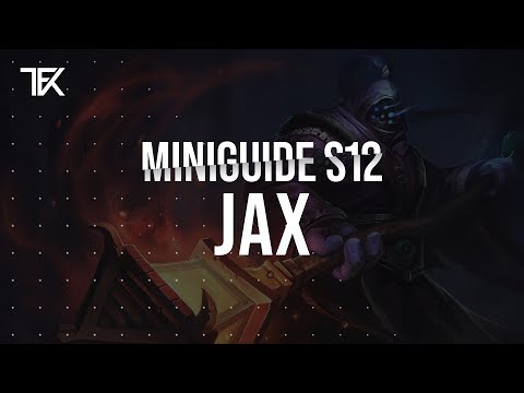 Jax Miniguide S12 german | TFK
