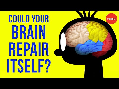 Could your brain repair itself? - Ralitsa Petrova