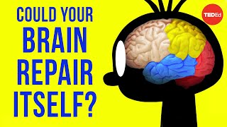 Could your brain repair itself? – Ralitsa Petrova