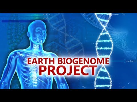 In Depth - Earth Biogenome Project