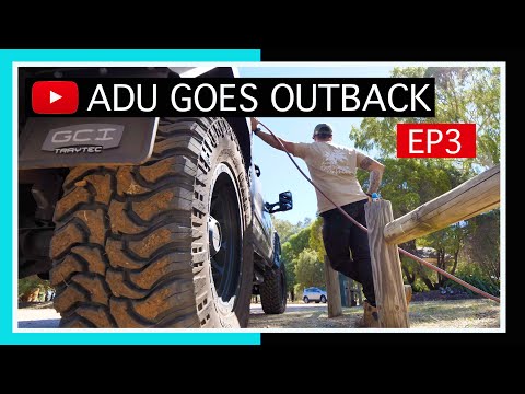 TAMBO HÜHNERRENNEN | CHEV WASSERWAGEN | LEGENDEN VON BLACKALL | WOOLSCOUR | RAM PARK | PUB HUND &...