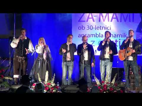 Ansambel Viharnik in Kvatropirci - Prva harmonika (v živo)