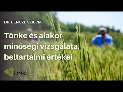 A vastagbél megtisztítja a szabad méregtelenítés folyamatát