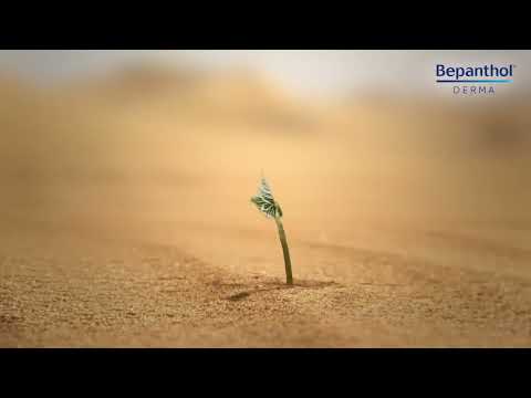 Produktvideo