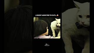 Download lagu A Gost Addicted to Cats.. 😰😨| The Cat 📽️ | #korean #horrormovie  #shorts mp3
