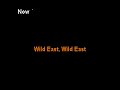 Ian Hunter -  Wild East  - clay wood karaoke
