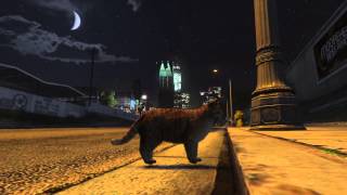 GTA 5 Easter Egg - How To become a cat or dog !