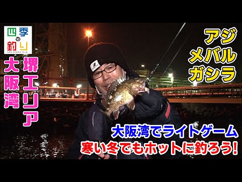 大阪湾でライトゲーム　寒い冬でもホットに釣ろう！（四季の釣り/2021年2月5日放送）