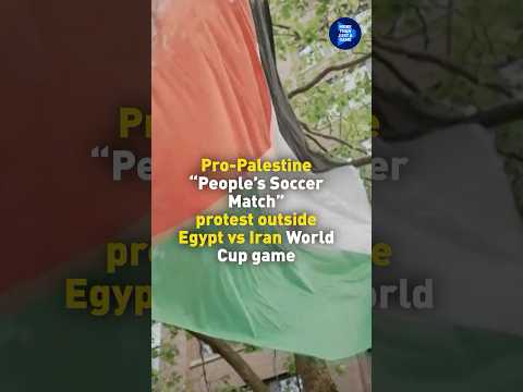 Pro-palestine 