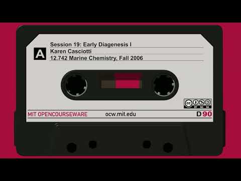Early Diagenesis I