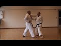 Tekki Shodan Bunkai 2019